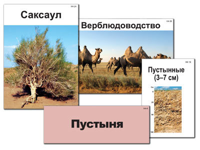 Модель-аппликация"Природные зоны России" (ламинированная)