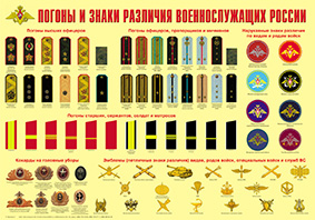 Пл.Погоны и знаки различия военнослужащих России (Формат А-2)