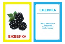 Логопедические картинки для автоматизации звука Ж (комплект 30 шт)