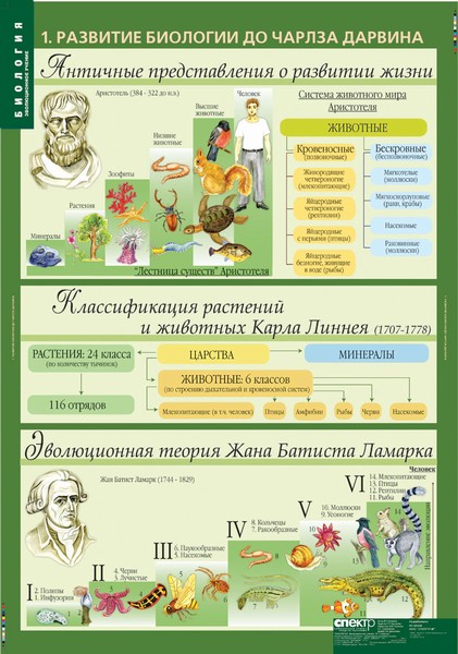 т.Биология 10-11 классы.Эволюционное учение (10 табл.)
