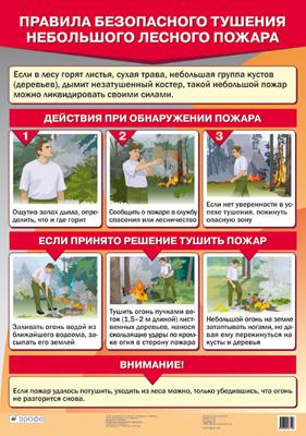 Правила безопасного тушения небольшого лесного пожара. (1) 992
