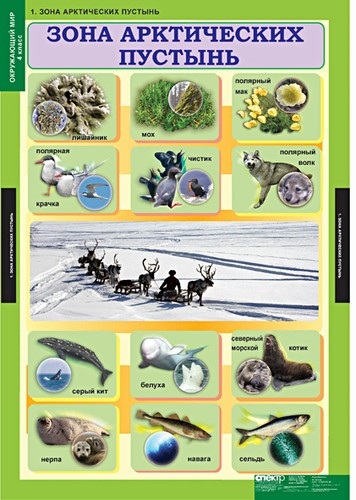 т.Окружающий мир 4 класс (15 табл.)