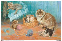 Пл.Кошка с котятами (картон, размер 690x500 мм