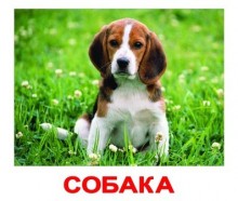 Карточки по лексической теме "Домашние животные"