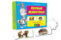 Развивающая игра "Ассоциации. Лесные животные"