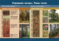 Солнце и Земля/Строение почвы.Типы почв.Крылова (2) 793