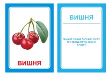 Логопедические картинки для автоматизации звука Ш (комплект 30 шт)