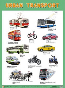 Пл.Urban Transport(Городской транспорт)(500*590мм)