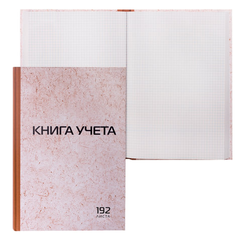 Книга учета 192л, клетка, твердая, картон, типографский блок, А4 200х290мм