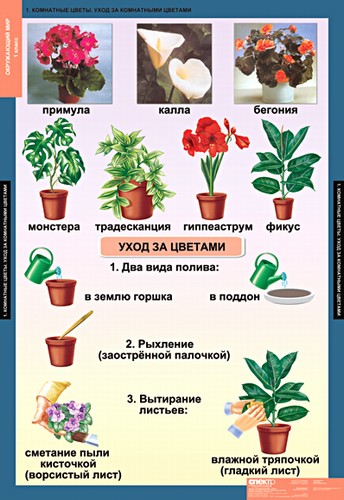 т.Окружающий мир 1 класс (15 табл.)