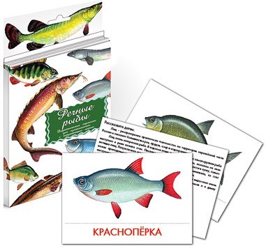 Карточки дидактические "Речные рыбы"