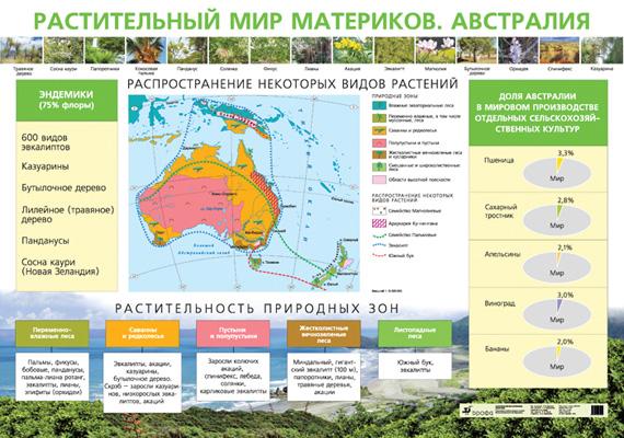 Растительный мир материков.Австралия.Курашева. 1022