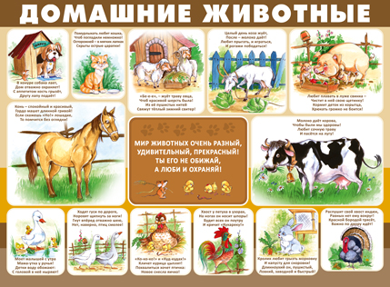 Пл.Домашние животные (картон.размер 440*587 мм)