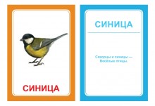 Логопедические картинки для автоматизации звука Ц (комплект 30 шт)