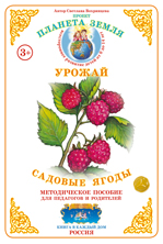 Дидактический материал:Садовые ягоды (Страна фантазий) (Формат А-4) 2015г