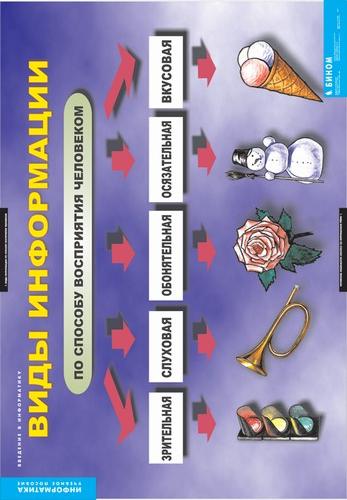 т.Введение в  информатику (12 табл.)