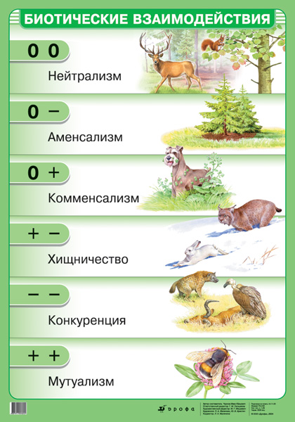 Биотические взаимодействия /Строение экосистемы (мат) (2) 982 Чернов.