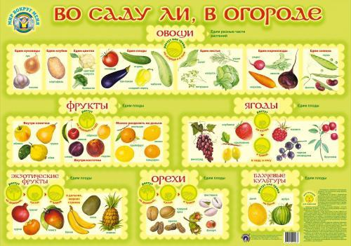 Пл.Во саду ли, в огороде (картон, размер 600*900мм)
