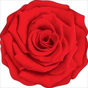Украшение на скотче Розочка(картон)