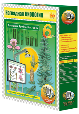 Наглядная биология. 6 класс. Растения. Грибы. Бактерии (CD)