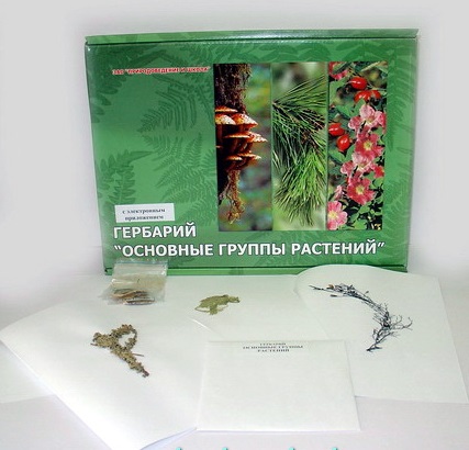 Гербарий"Основные группы растений" (52 листа) формат А-4