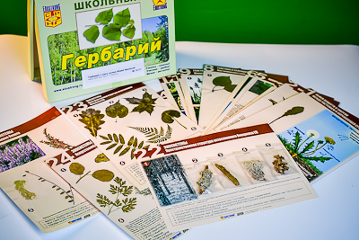 Гербарий к курсу основ общей биологии (24 листа)
