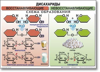 т.Органическая химия 10-11 класс (39 табл., картон, ламин., 50х70 см)