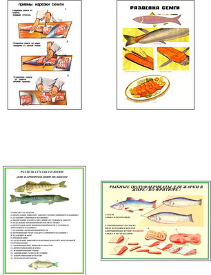 т.Разделка и обработка рыбной продукции (8 пл,винил,70*100)