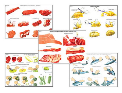 т.Первичная обработка продуктов и приготовление полуфабрикатов  (15 пл,винил,70*100)