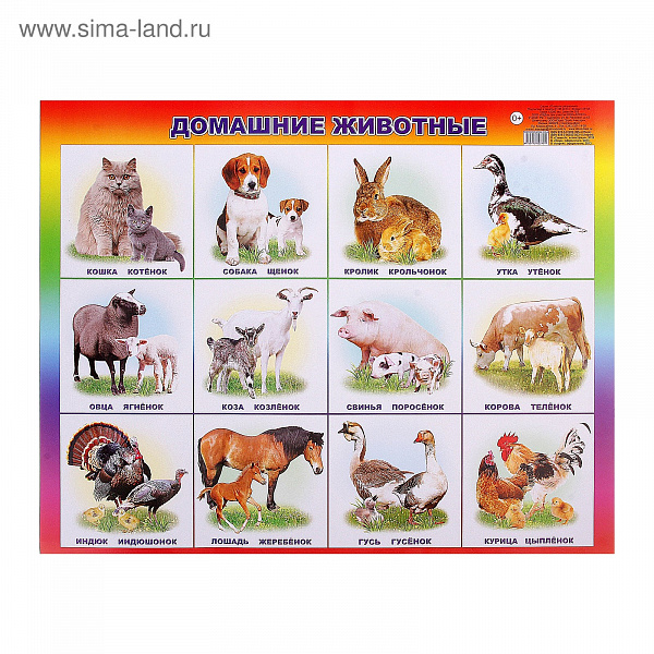 Пл.Домашние животные и птицы. А-2