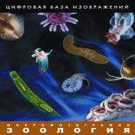 ��������. ���������������. (�������� ���� �����������) (CD) �������� �� ����� (15)