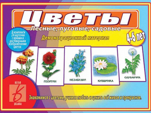 Настольно-печатная дид.игра в папке "Цветы"