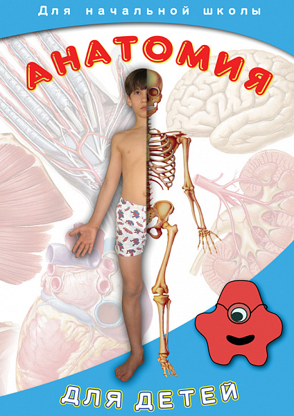 Анатомия для детей (DVD)