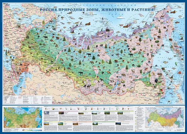 Природные зоны России, животные, растения/ размер 143 см х 102 см