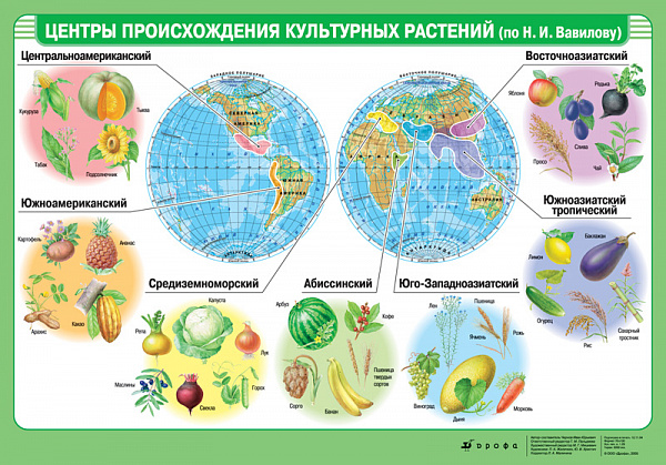Центры происхождения важнейших культ.растений (мат) (нп) 1035