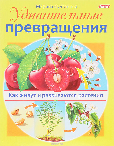Удивительные превращения: Как развиваются растения