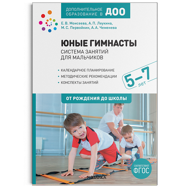 Юные гимнасты. Система занятий для мальчиков 5-7 лет ФГОС