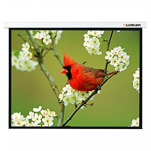 ����� ��������� 213*213 Lumien Master Picture