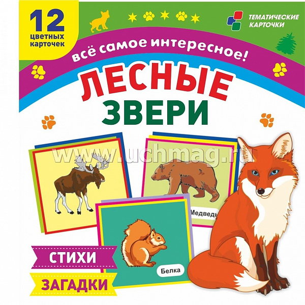 Лесные звери: 12 развивающих карточек с красочными картинками, стихами и загадками для детей