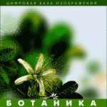 ��������. (�������� ���� �����������)  (CD) �������� �� ����� (30)