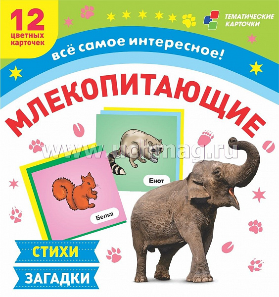 Млекопитающие : 12 развивающих карточек с красочными картинками, стихами и загадками для занятий с 