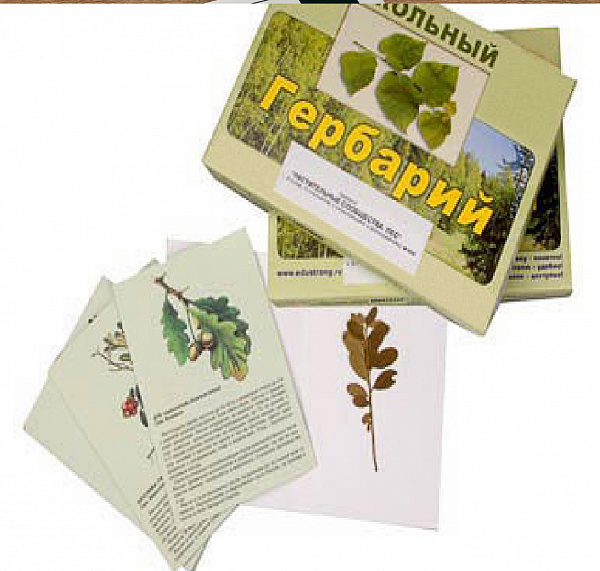 Гербарий "Растительные сообщества. Лес" (9 видов, 10 планшетов, с иллюстрациями и фотографиями)