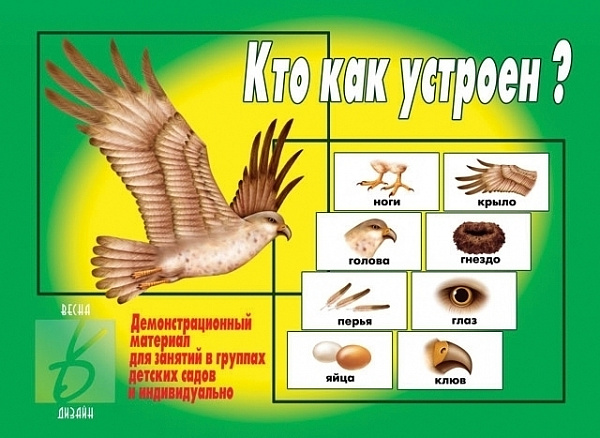 Настольная игра "Кто как устроен"