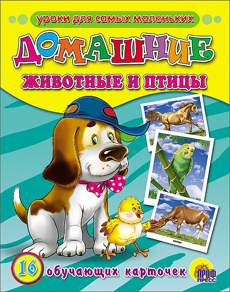 Обучающие карточки. Домашние животные и птицы(Проф-Пресс)