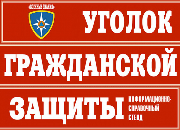 К-т пл.Уголок гражданской защиты (10 пл., цвет, 41х30 см.)