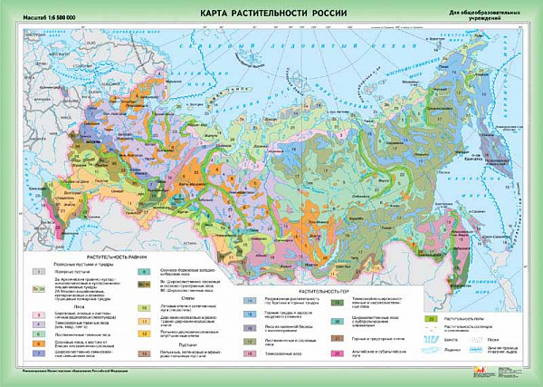 Растительность России (1) 1129