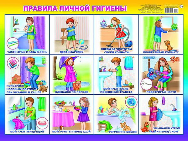 Пл.Правила личной гигиены (картон, размер 440*596 мм)