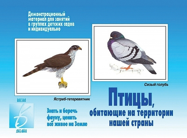 Настольно-печатная дид.игра в папке "Птицы нашей страны"