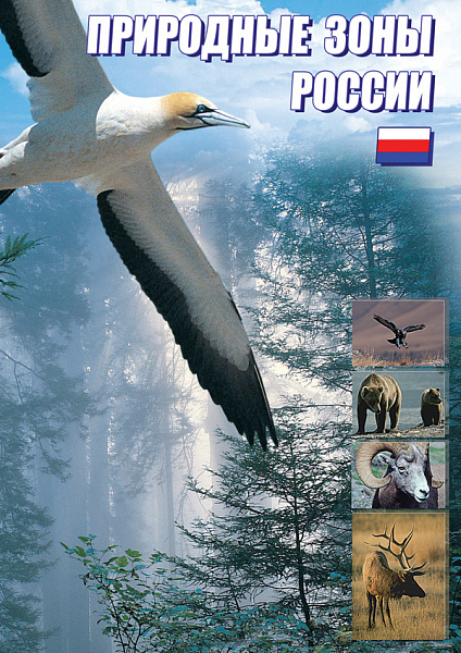 Природные зоны России (DVD)