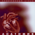 ��������. (�������� ����� ���������)  (CD) �������� �� ����� (15)
